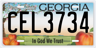 GA license plate CEL3734