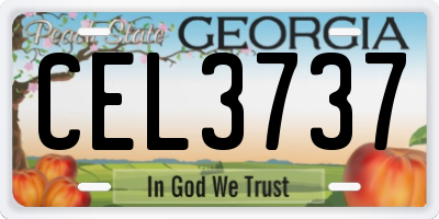 GA license plate CEL3737