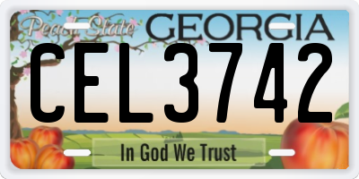 GA license plate CEL3742