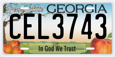 GA license plate CEL3743