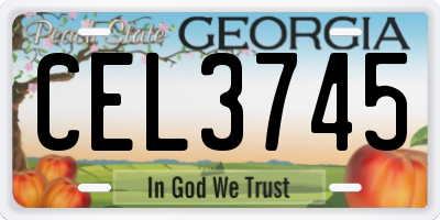 GA license plate CEL3745