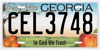 GA license plate CEL3748