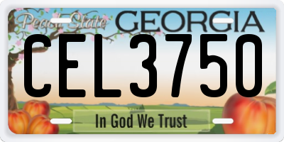 GA license plate CEL3750