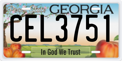 GA license plate CEL3751