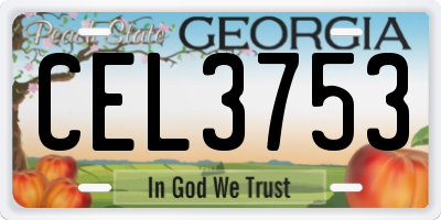 GA license plate CEL3753