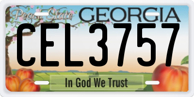 GA license plate CEL3757
