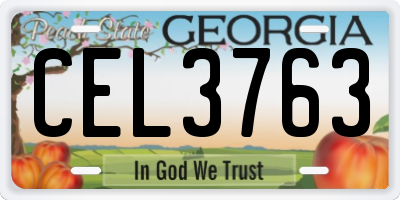 GA license plate CEL3763