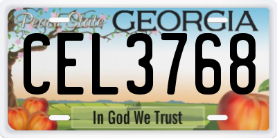 GA license plate CEL3768