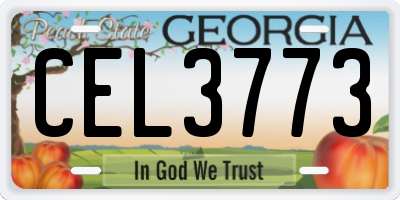 GA license plate CEL3773