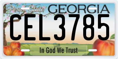 GA license plate CEL3785