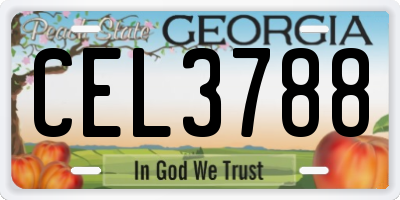 GA license plate CEL3788