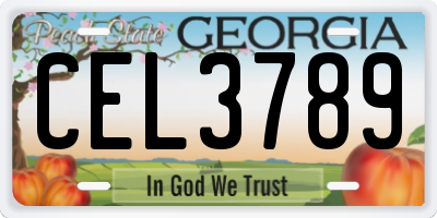 GA license plate CEL3789