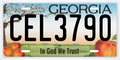 GA license plate CEL3790