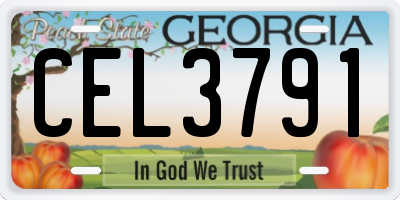 GA license plate CEL3791
