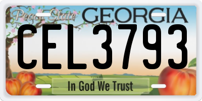 GA license plate CEL3793
