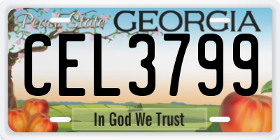 GA license plate CEL3799