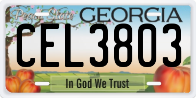 GA license plate CEL3803
