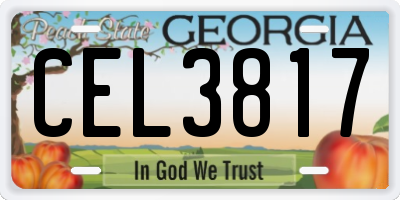 GA license plate CEL3817