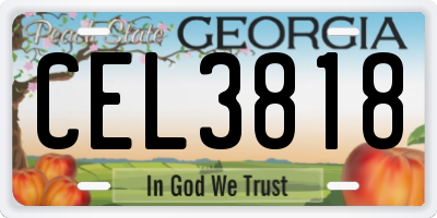 GA license plate CEL3818