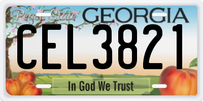 GA license plate CEL3821