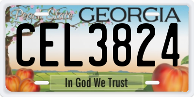 GA license plate CEL3824