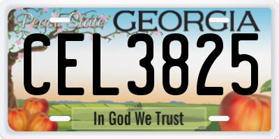 GA license plate CEL3825