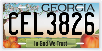 GA license plate CEL3826