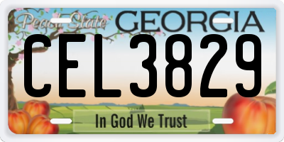 GA license plate CEL3829