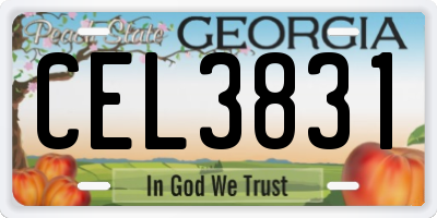 GA license plate CEL3831