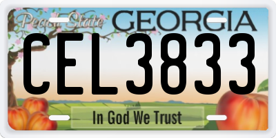 GA license plate CEL3833