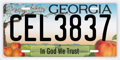 GA license plate CEL3837