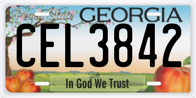 GA license plate CEL3842