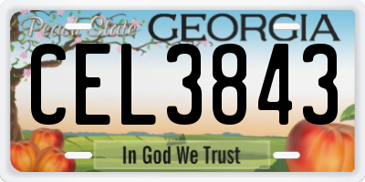 GA license plate CEL3843