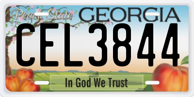GA license plate CEL3844