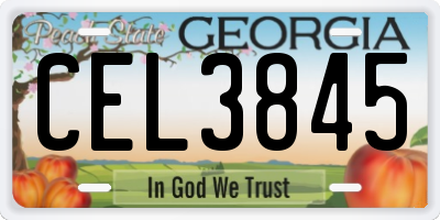 GA license plate CEL3845
