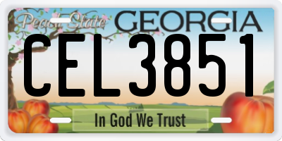 GA license plate CEL3851