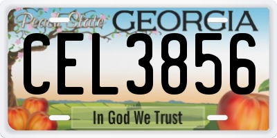 GA license plate CEL3856