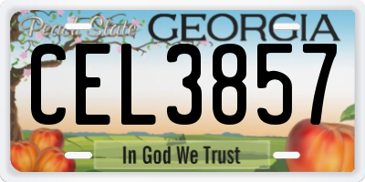 GA license plate CEL3857