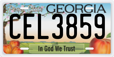 GA license plate CEL3859