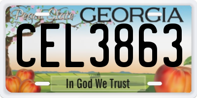 GA license plate CEL3863