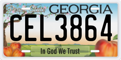 GA license plate CEL3864