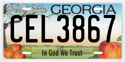 GA license plate CEL3867