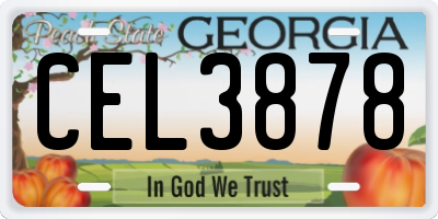 GA license plate CEL3878