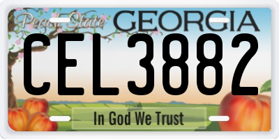 GA license plate CEL3882