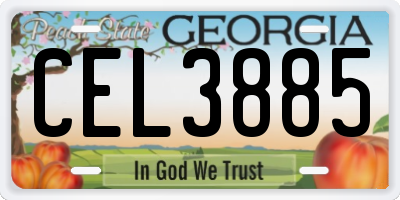GA license plate CEL3885
