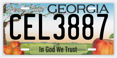 GA license plate CEL3887