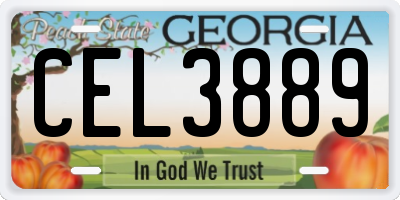 GA license plate CEL3889