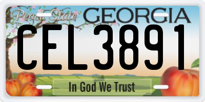 GA license plate CEL3891
