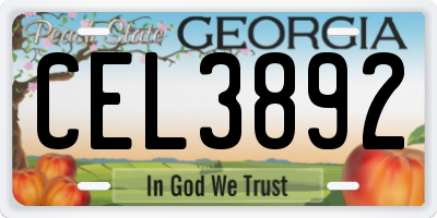 GA license plate CEL3892