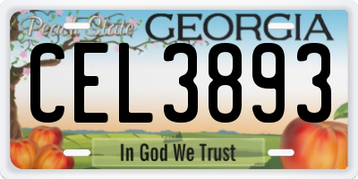 GA license plate CEL3893
